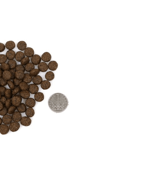 Marp Holistic Turkey CAT - Sample