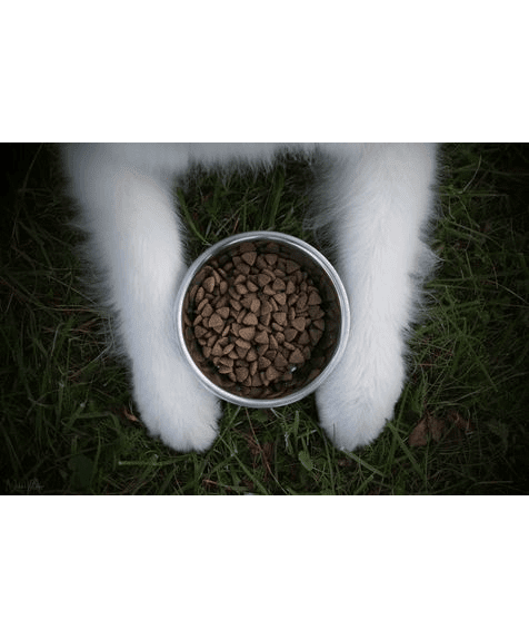 Marp Holistic White Mix LB - für große Rassen getreidefrei 17kg