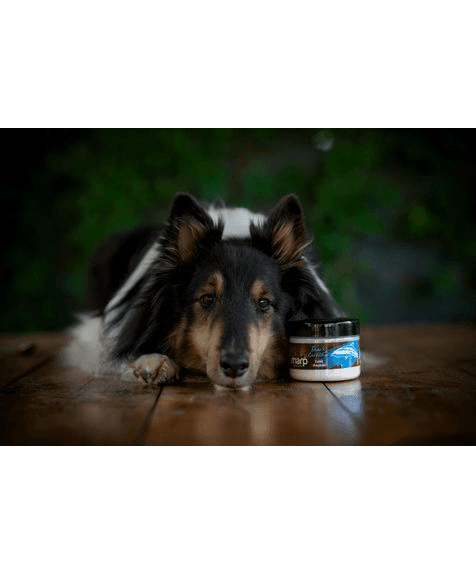 Marp Holistic - Shark Cartilage