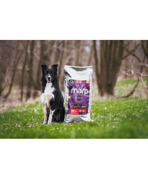 Marp Holistic Red Mix – getreidefrei mit Rind, Pute und Wild 12kg