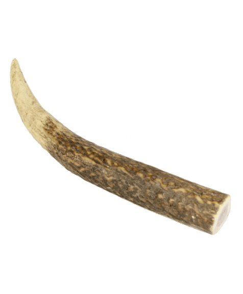 Marp Holistic - Jelení paroh celý M