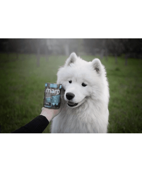 Marp Variety Single Rabbit Nassfutter für Hunde mit Kaninchen