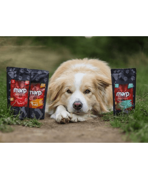 Marp Holistic - Beef Broth