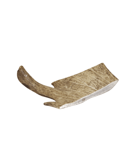 Marp Holistic - Dančí paroh XL