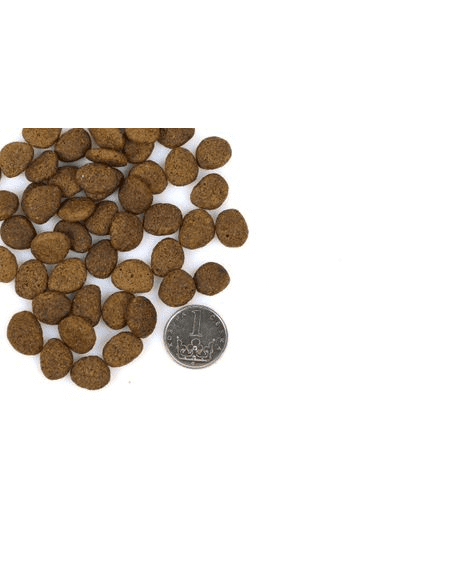 Marp Holistic Red Mix – getreidefrei mit Rind, Pute und Wild