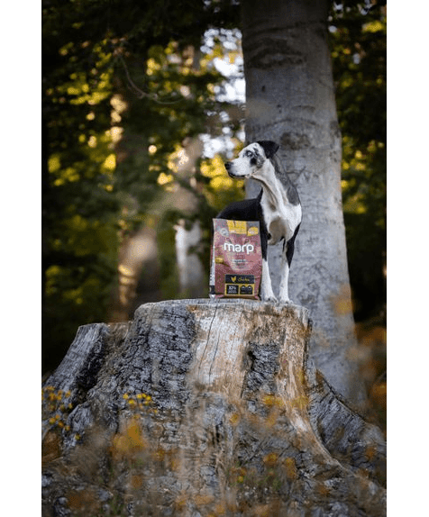 Marp Holistic Chicken - kuřecí bez obilovin