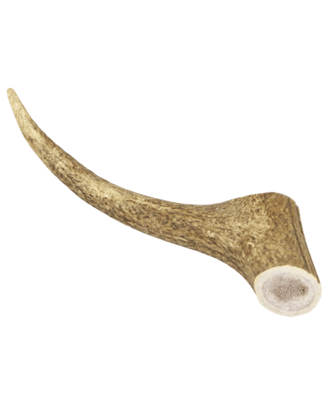 Marp Holistic - Jelení paroh celý XL