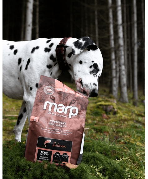 Marp Holistic Salmon - lososové bez obilovin