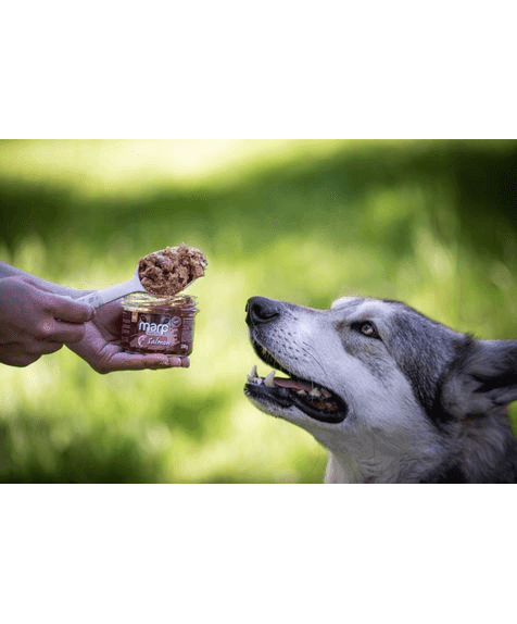 Marp Holistic Plus - 100% Lachs im Glas für Hunde 200g