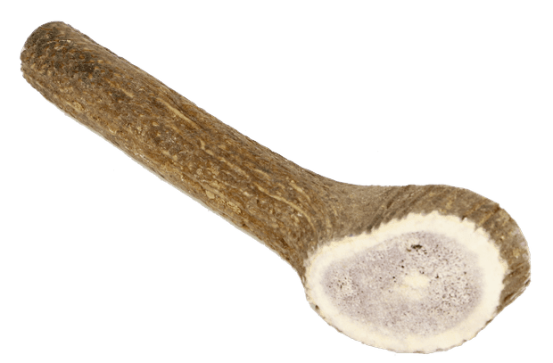 Marp Holistic - Deer antler L whole piece