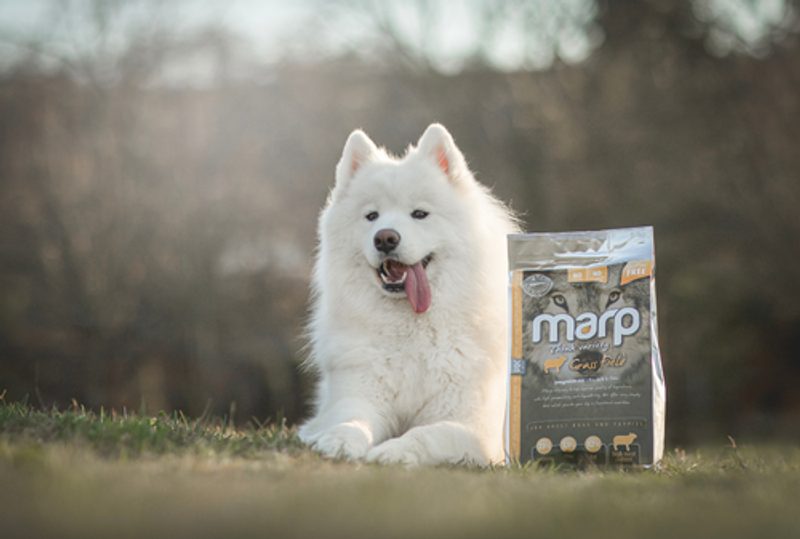 Die Einführung der Marp Variety-Reihe und die Erweiterung des Snacksortiments