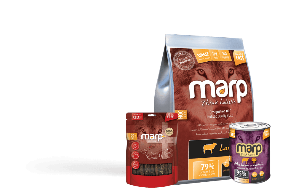 Was können Sie von derHolistic-Produktlinie erwarten?