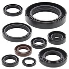 SADA GUFIER MOTORU WINDEROSA 822268