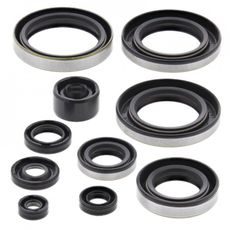 SADA GUFIER MOTORU WINDEROSA 822295