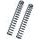 Fork springs kit BITUBO linear K= 0.42
