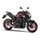 Kawasaki Z900 Candy Persimmon Red / Ebony 2024