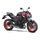 Kawasaki Z650 Candy Persimmon Red / Ebony 2024