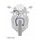CROSSOVER-predok-sada Venhill POWERHOSEPLUS HON-10016FS (2 hadice v sade) Priehľadné hadice nerezové koncovky