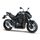 Kawasaki Z900 Ebony / Metallic Carbon Gray (BK1) 2026