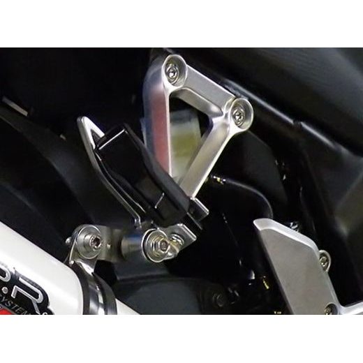 KONCOVKA VÝFUKU SLIP-ON GPR ALBUS H.225.ALB WHITE GLOSSY PRE HONDA CBR 300 R 2014-2016