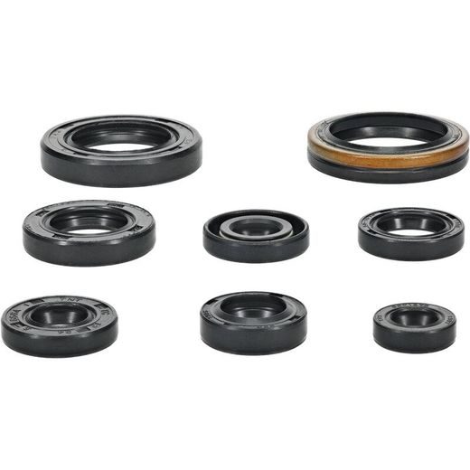 SADA GUFIER MOTORU WINDEROSA 822321