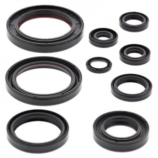 SADA GUFIER MOTORU WINDEROSA 822352