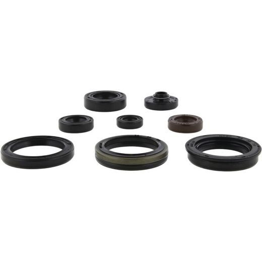 SADA GUFIER MOTORU WINDEROSA 822329