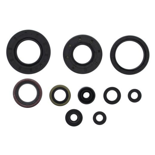 SADA GUFIER MOTORU WINDEROSA 822275
