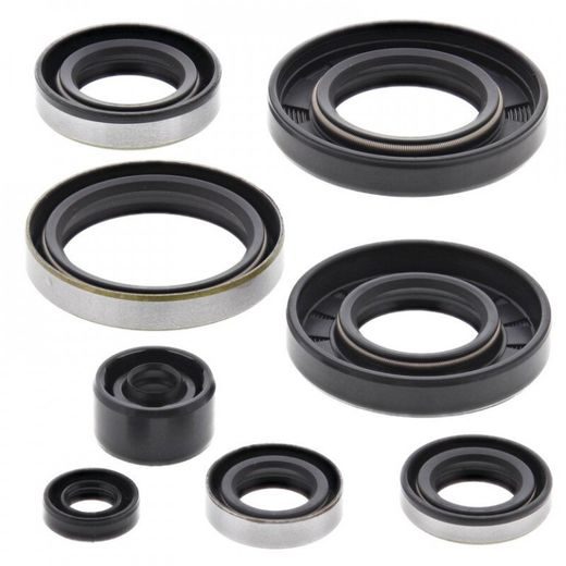 SADA GUFIER MOTORU WINDEROSA 822284