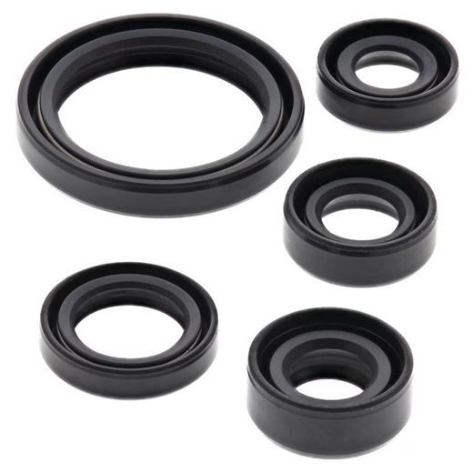 SADA GUFIER MOTORU WINDEROSA 822226