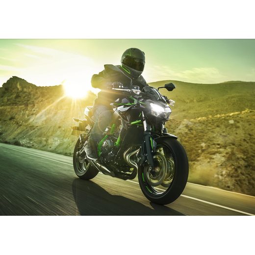 KAWASAKI Z650 METALLIC SPARK BLACK / GREEN 2025