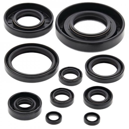 SADA GUFIER MOTORU WINDEROSA 822174