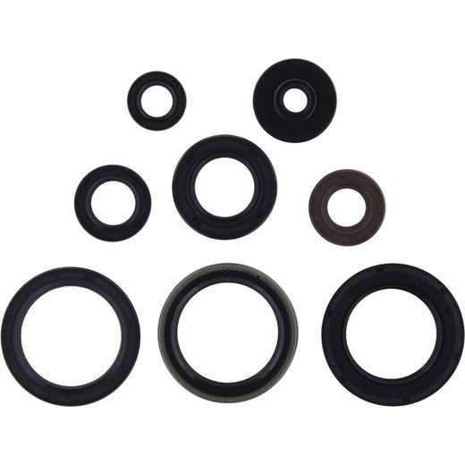 SADA GUFIER MOTORU WINDEROSA 822329