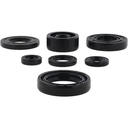 SADA GUFIER MOTORU WINDEROSA 822113