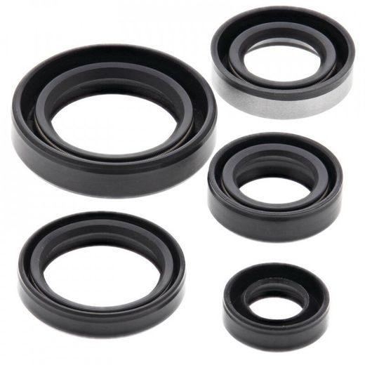 SADA GUFIER MOTORU WINDEROSA 822245