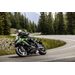 KAWASAKI NINJA 1100 SX SE PEARL STARDUST WHITE / METALLIC DIABLO BLACK 2027