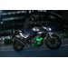 NOVÁ KAWASAKI Z7 HYBRID METALLIC BRIGHT SILVER / METALLIC MATTE LIME GREEN / EBONY 2024