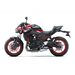 KAWASAKI Z650 CANDY PERSIMMON RED / EBONY 2024