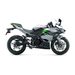 NOVÁ KAWASAKI NINJA E-1 METALLIC BRIGHT SILVER / METALLIC MATTE LIME GREEN 2024