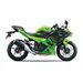 KAWASAKI NINJA 500 SE LIME GREEN / EBONY 2024