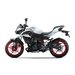 KAWASAKI Z500 SE PEARL BLIZZARD WHITE / EBONY (WT1) 2026