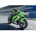 KAWASAKI NINJA ZX-10R LIME GREEN / EBONY / PEARL BLIZZARD WHITE 2025