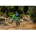 KAWASAKI KX250FX LIME GREEN 2027