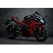 KAWASAKI NINJA 650 "40 TH ANNIVERSARY EDITION " FIRECRACKER RED / EBONY 2024