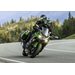 KAWASAKI NINJA 1100 SX SE EMERALD BLAZED GREEN / METALLIC DIABLO BLACK 2025