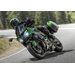 KAWASAKI NINJA 1100 SX SE EMERALD BLAZED GREEN / METALLIC DIABLO BLACK 2025