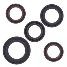 SADA GUFER MOTORU WINDEROSA 822361