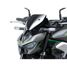 STŘEDNÍ SPORTOVNÍ ŠTÍTEK PRO KAWASAKI Z900