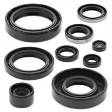 SADA GUFER MOTORU WINDEROSA 822294