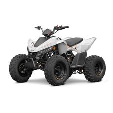 LINHAI ATV 110 WHITE